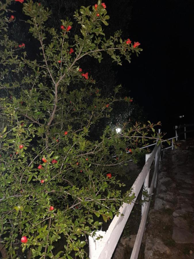 La Casa Al Mare Villa Peschici Luaran gambar